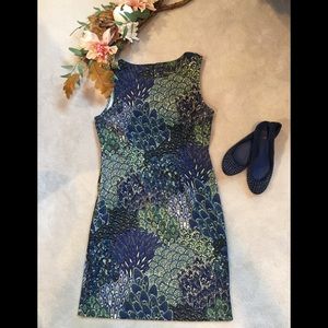 Beautifully Fitted Cotton/Spandex Blend Dress
